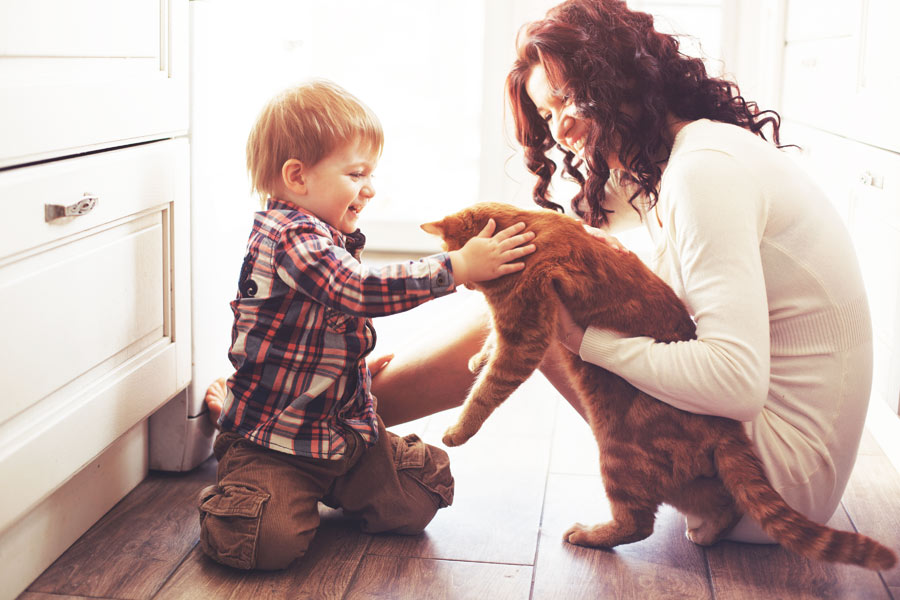 Kleiner Junge streichelt eine Katze auf dem Arm eine Frau